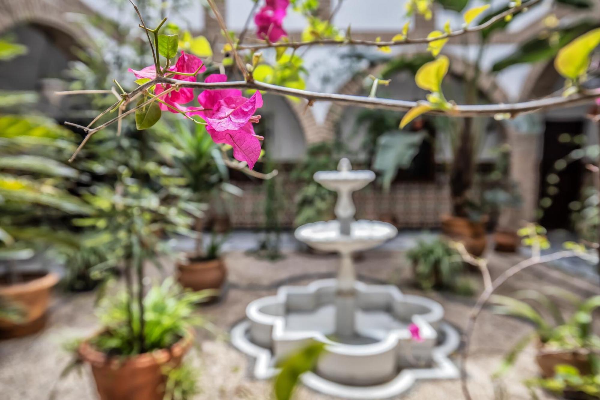 Casa Con Patio Maria Auxiliadora Apartment Cordoba Ngoại thất bức ảnh
